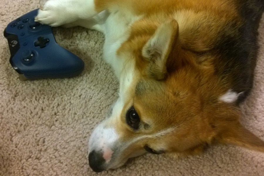 wp_20160227_21_56_27_pro