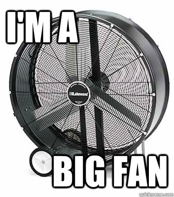 big fan