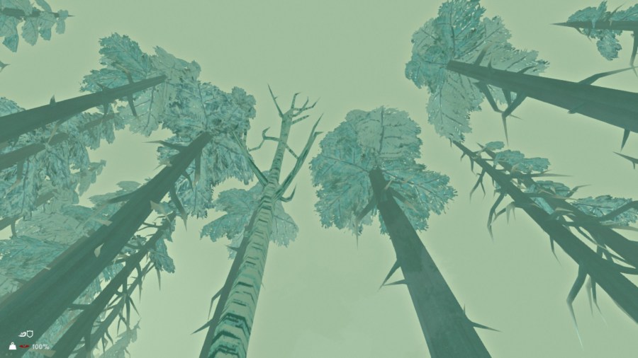 The Long Dark Looking Up