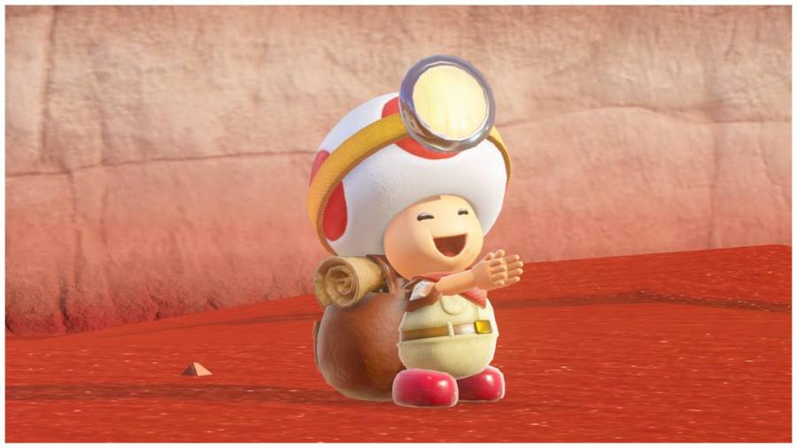 Super Mario Odyssey Happy Toad