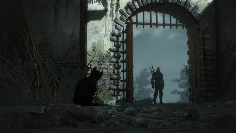 The Witcher 3 Wild Hunt Curious Cat