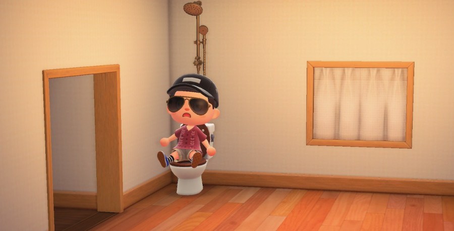 ACNH Terrible Toilet Time